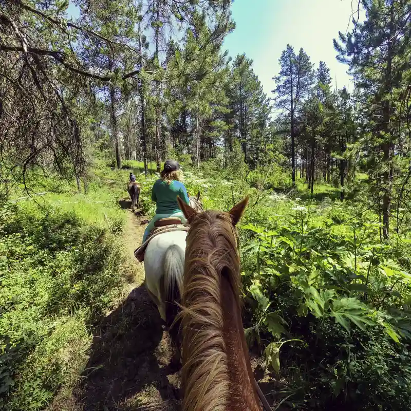 Personal perspective horseback riding with kids through a national park.